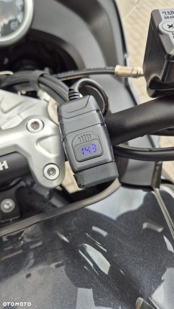 Triumph Tiger - 38