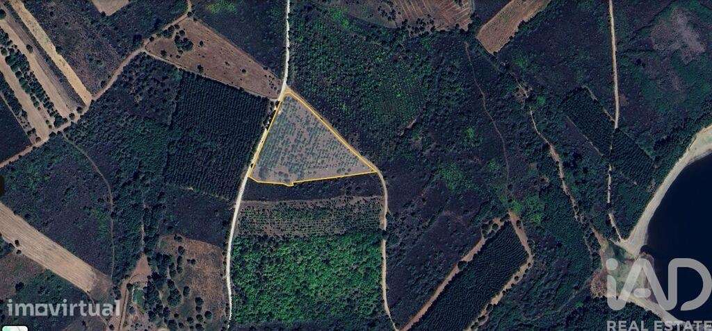 Terreno Agrícola em Sabugal e Aldeia de Santo António - Grande imagem: 2/5