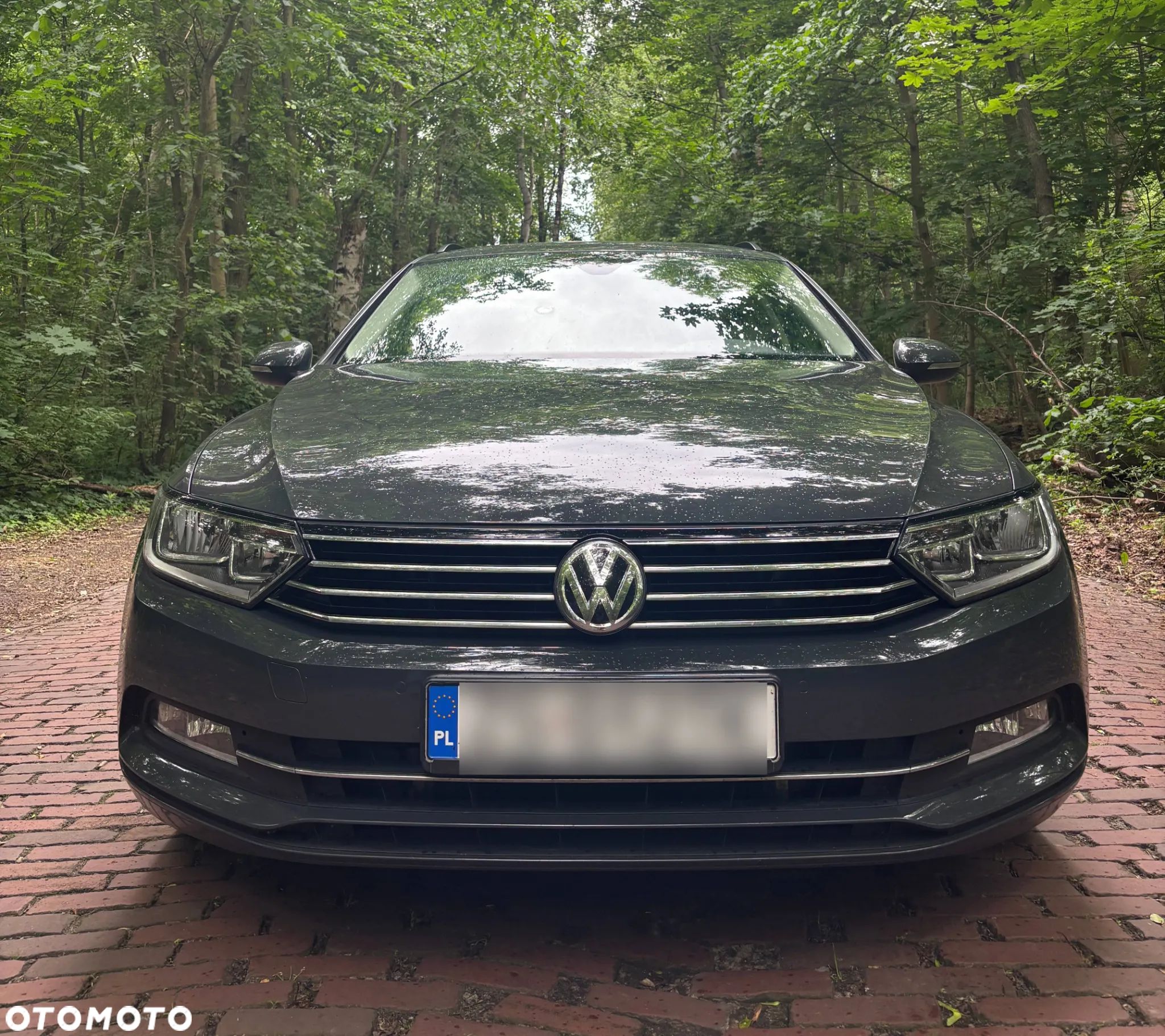 Volkswagen Passat - 1