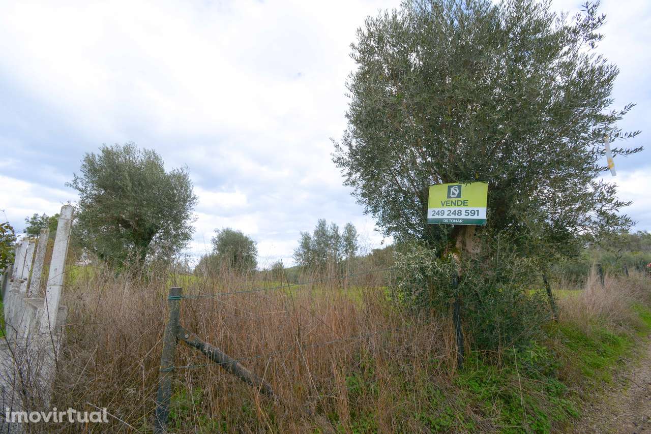 Terreno  Venda em Asseiceira,Tomar - Grande imagem: 3/10