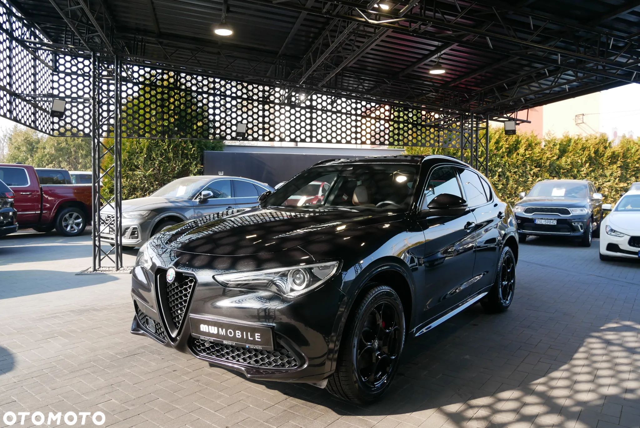 Alfa Romeo Stelvio 2.0 Turbo 16V AT8-Q4 Executive - 1