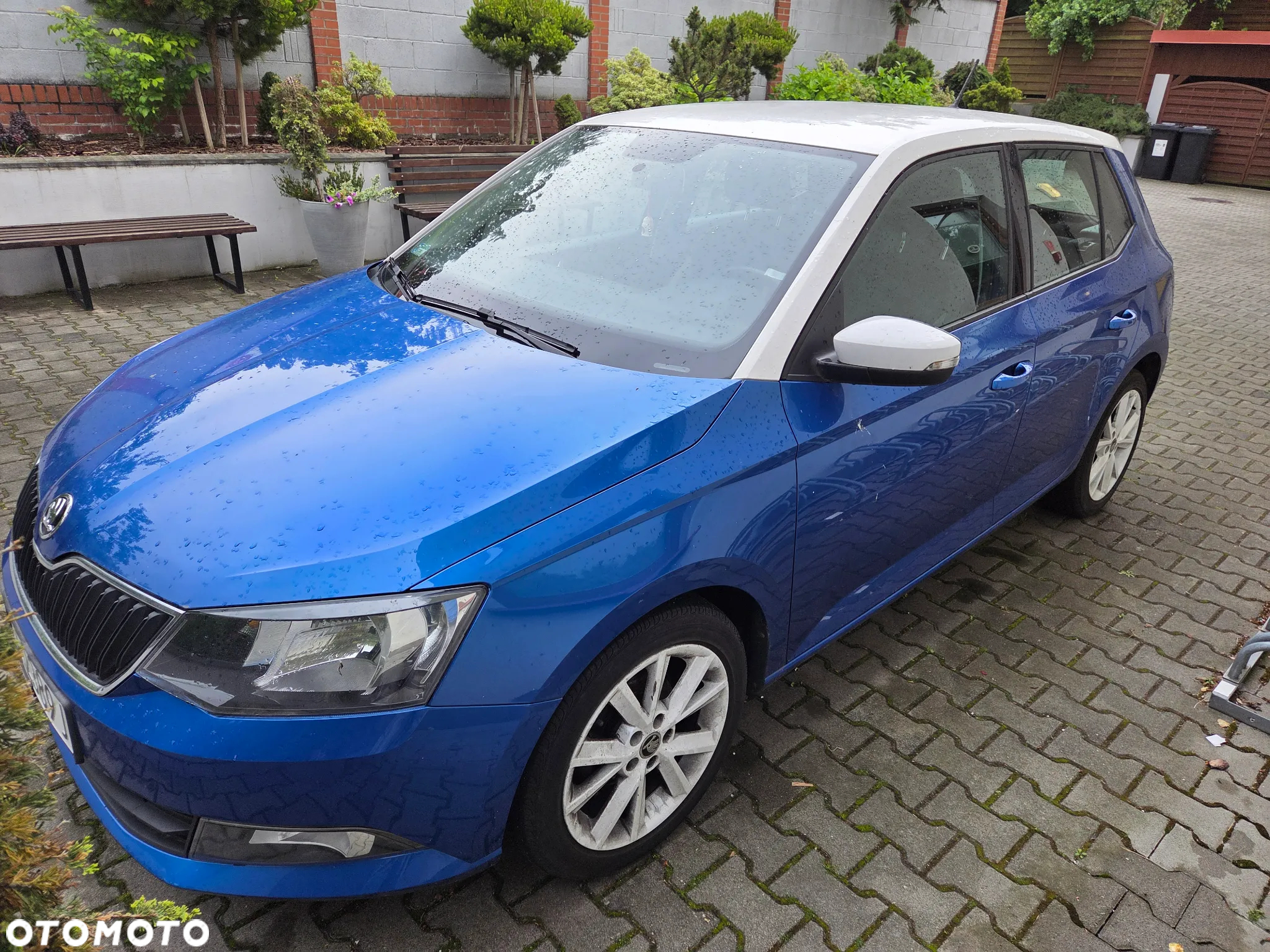 Skoda Fabia 1.0 Ambition - 5