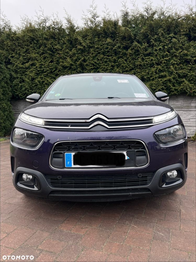Citroën C4 Cactus BlueHDi 120 Stop&Start EAT6 Shine - 12