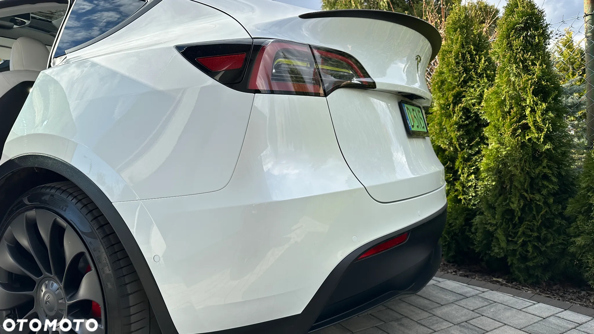 Tesla Y Model Performance Dual Motor AWD - 30