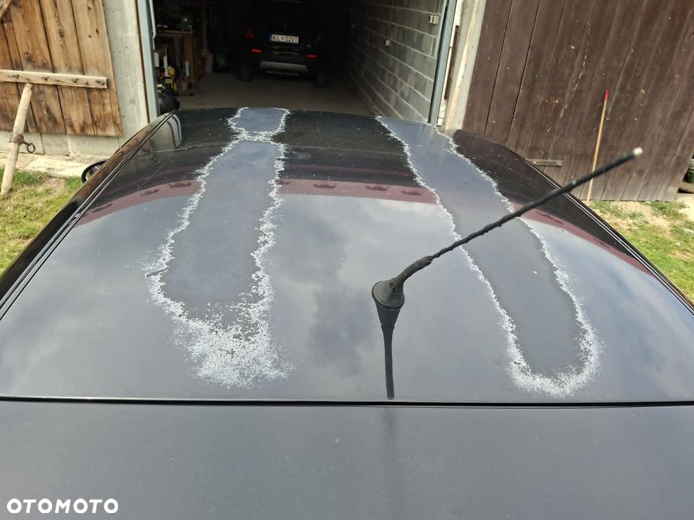 Seat Inny - 10
