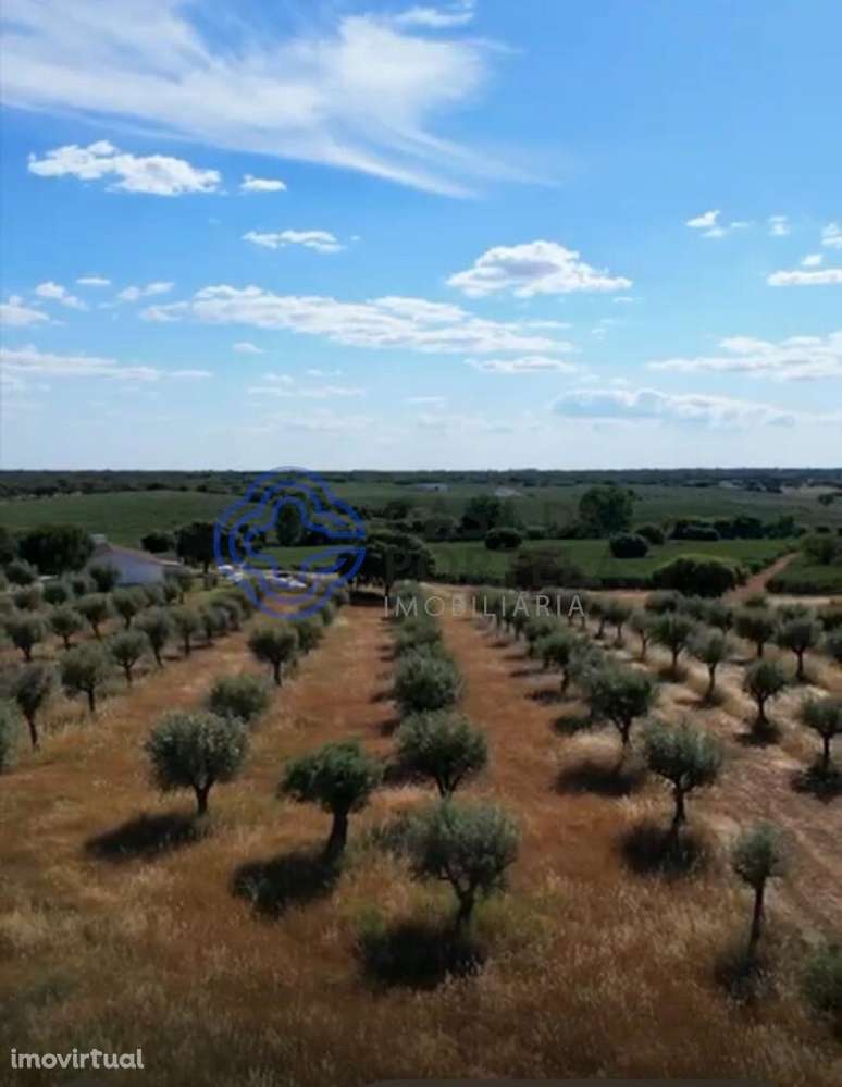 Moradia de Charme para venda em Casa Branca - Grande imagem: 4/60
