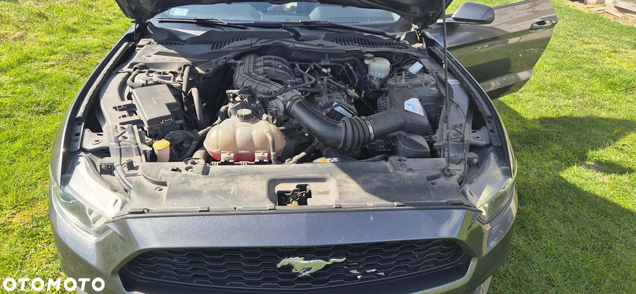Ford Mustang - 19