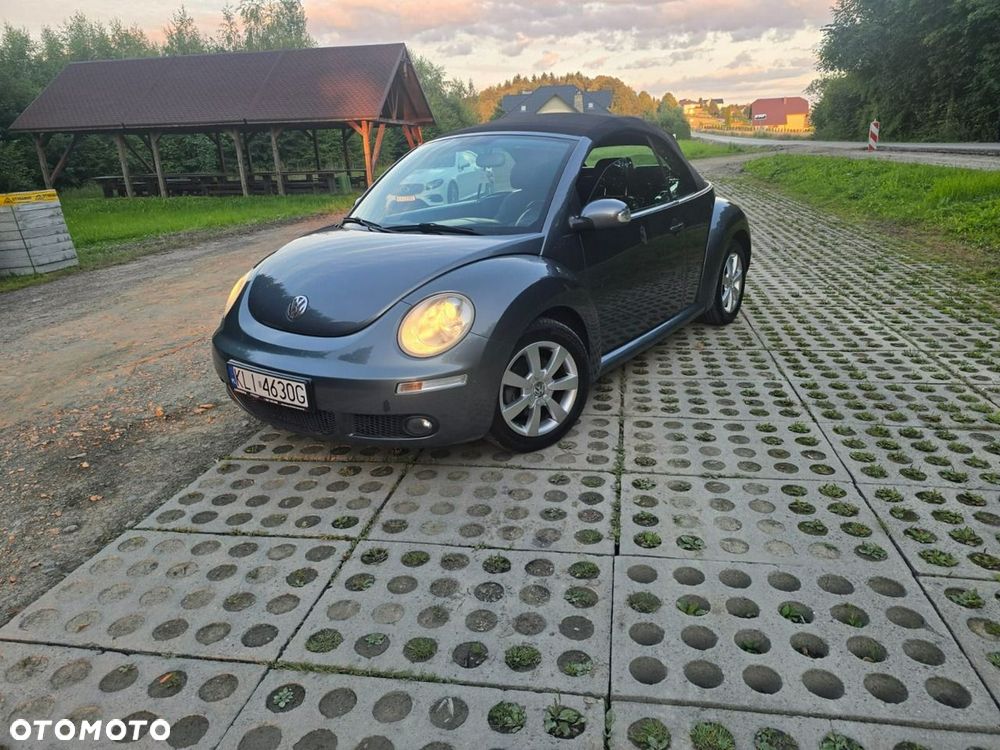 Volkswagen New Beetle - 19