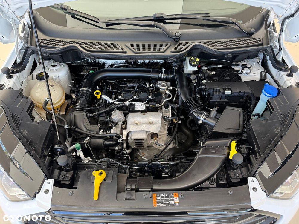 Ford EcoSport 1.0 EcoBoost GPF Active ASS - 19