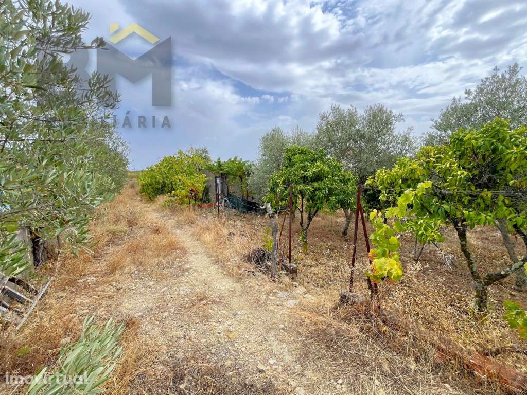 Terreno urbano com 1140m2 de área, localizado no Bairro do Valongo,... - Grande imagem: 5/19