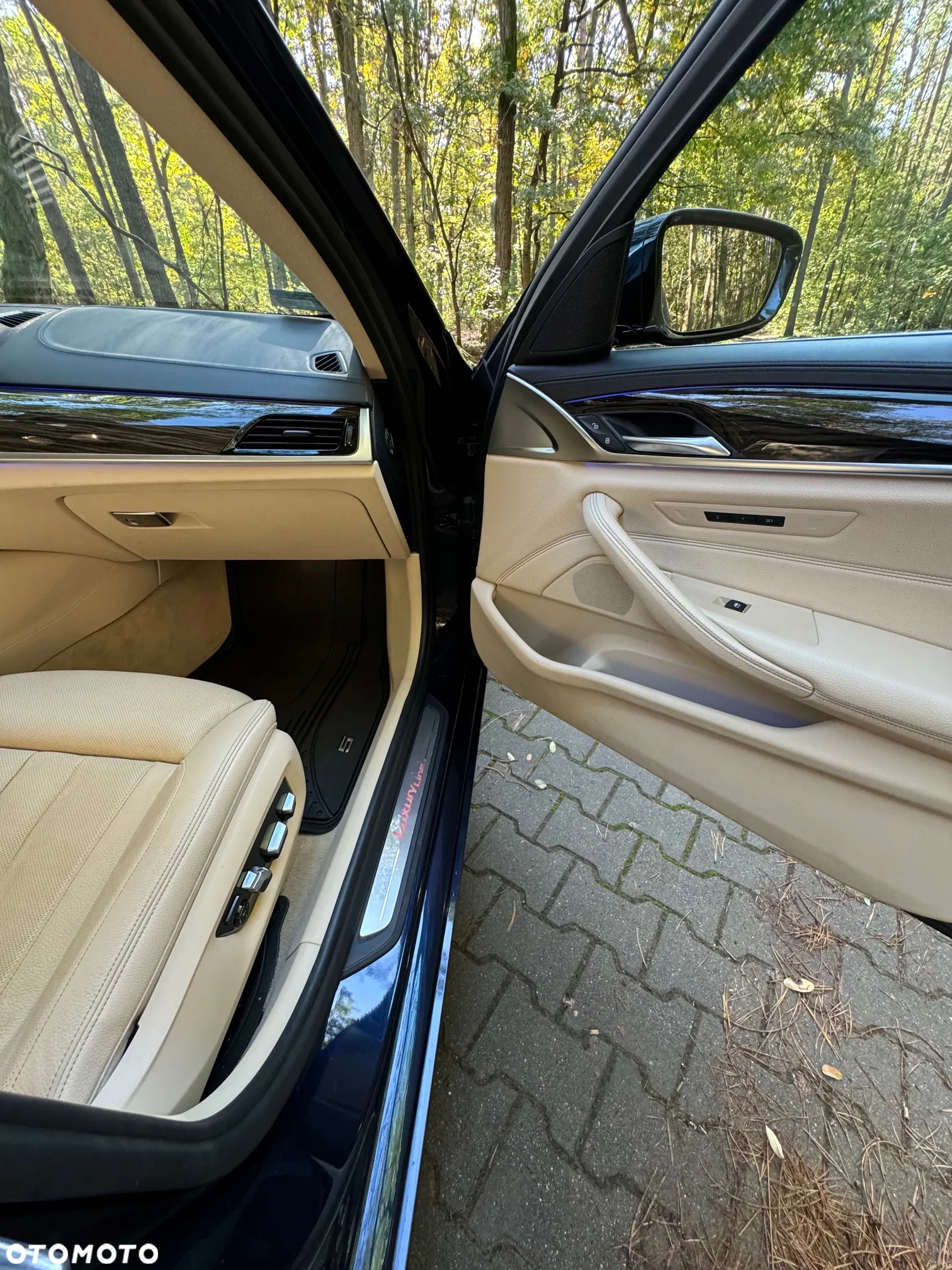 BMW Seria 5 520d xDrive Luxury Line - 13