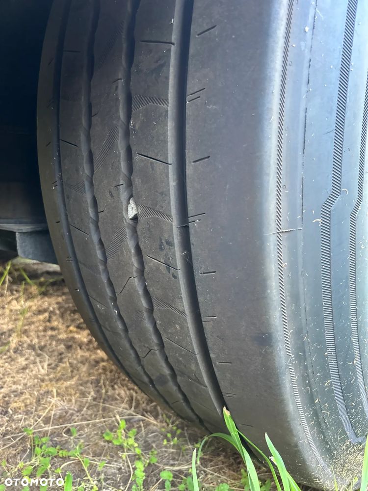 Schmitz Cargobull - 5