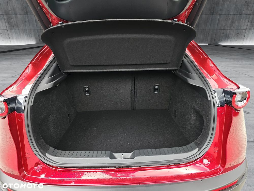 Mazda CX-30 - 19