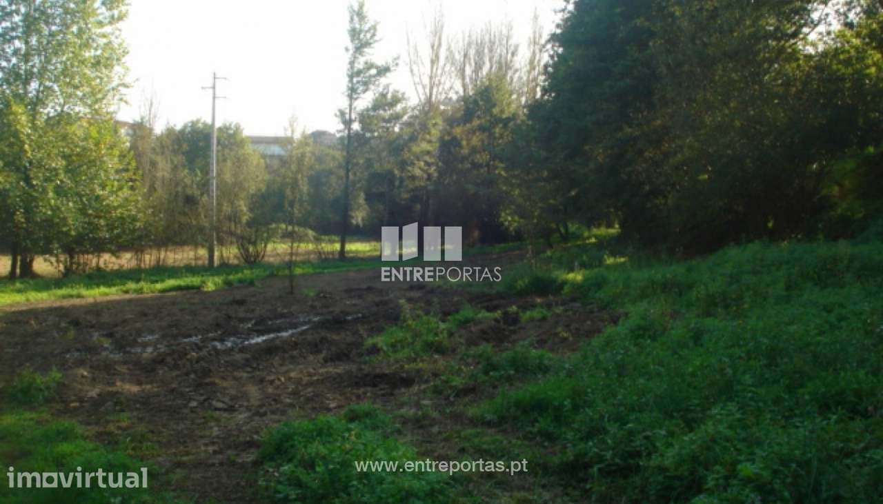 Venda Terreno para loteamento, próximo da cidade, Rio de Galinhas, Ma - Grande imagem: 5/22