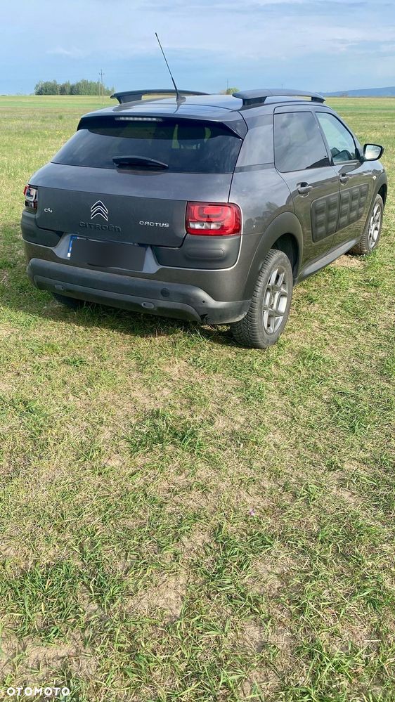 Citroën C4 Cactus BlueHDi 100 82g Stop&Start Feel - 16