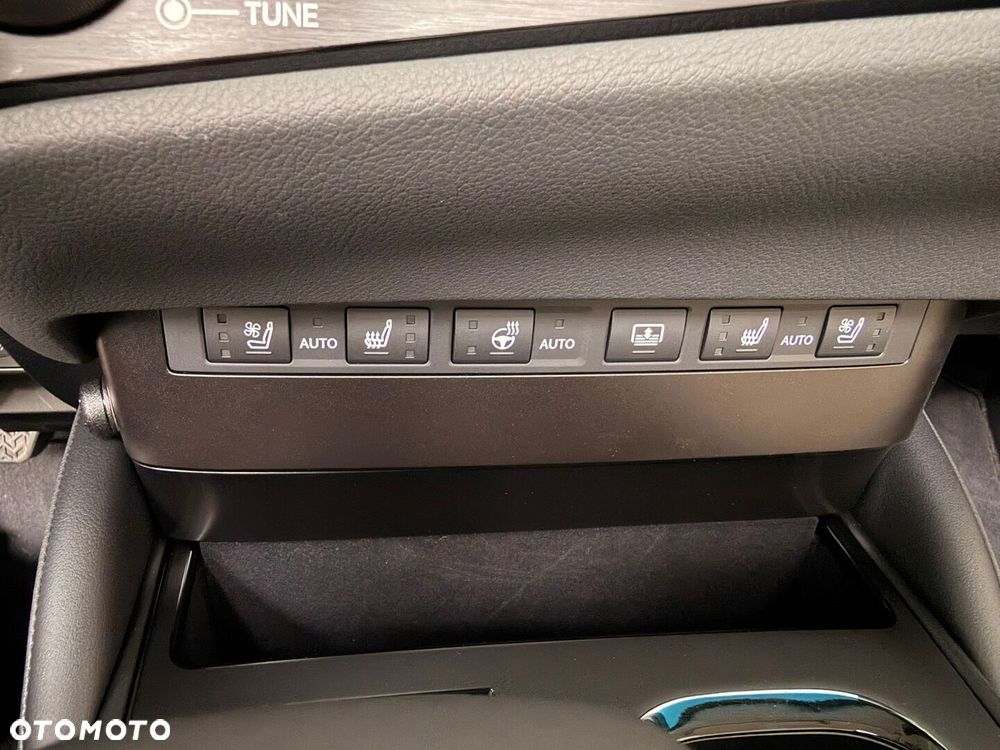 Lexus ES 300h Omotenashi - 12