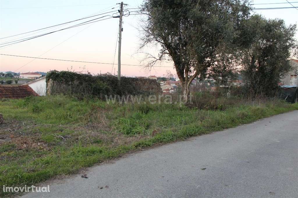 Terreno, Condeixa-a-Nova, Condeixa - Grande imagem: 2/6