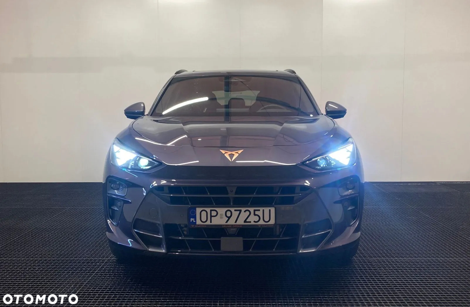 Cupra Terramar - 5