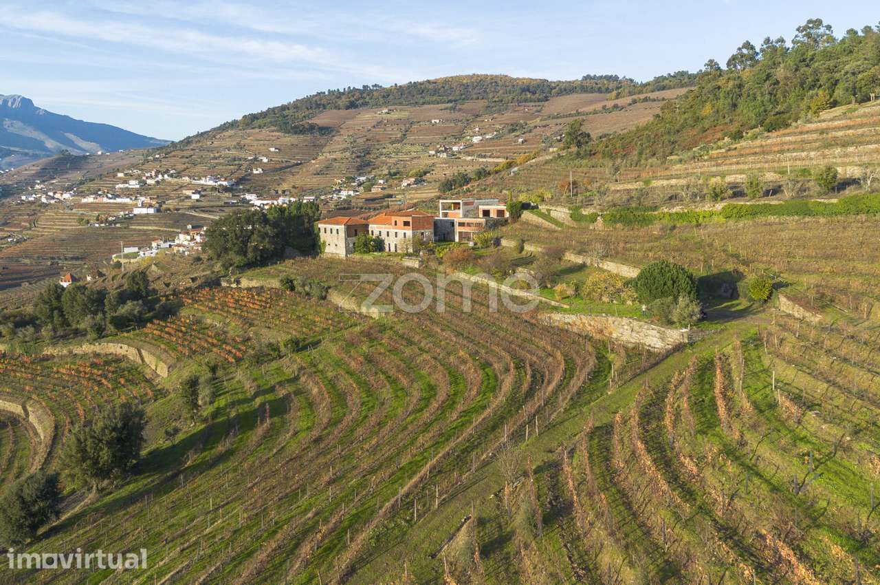 Quinta em Mesão Frio (UNESCO) com 6,6ha - Grande imagem: 3/42