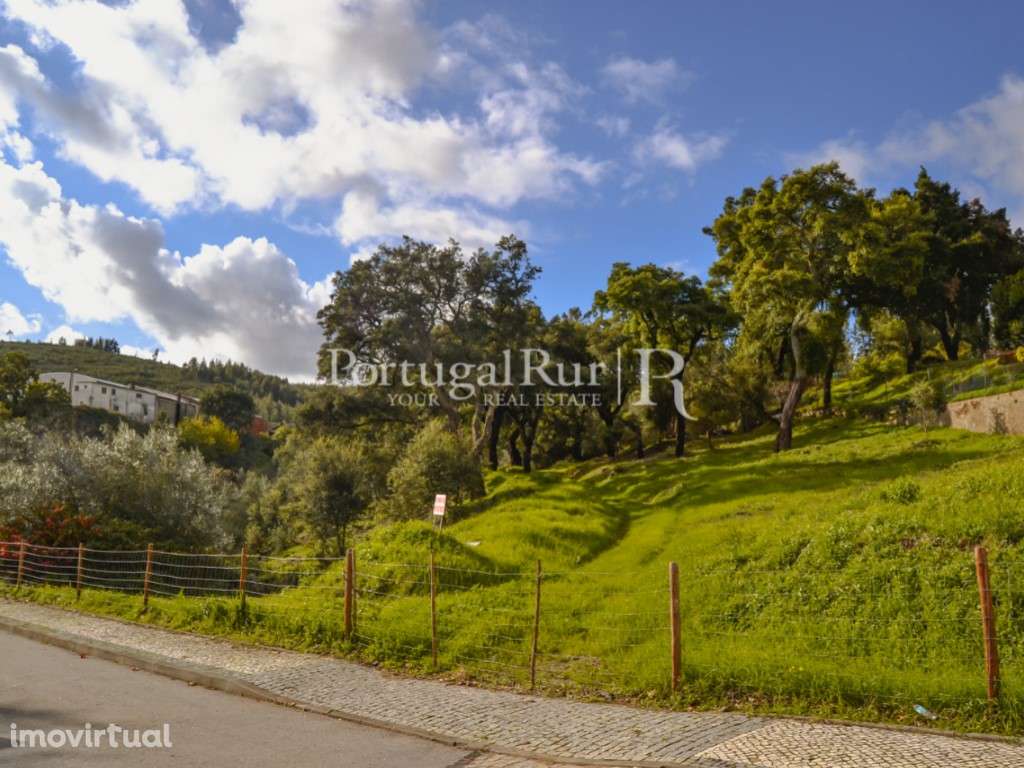 Terreno apto para construção de Moradia - Grande imagem: 3/7