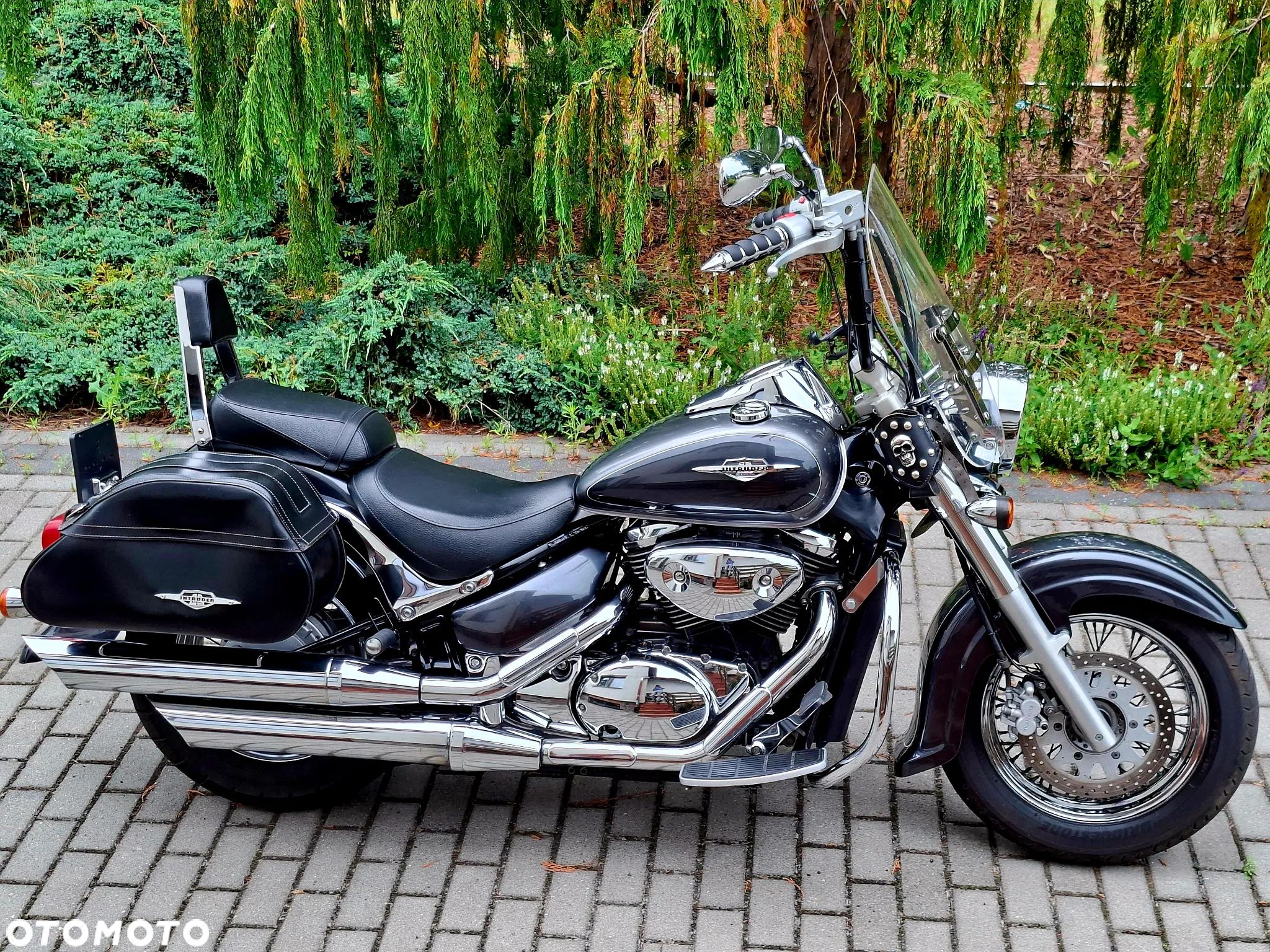 Suzuki Intruder - 1
