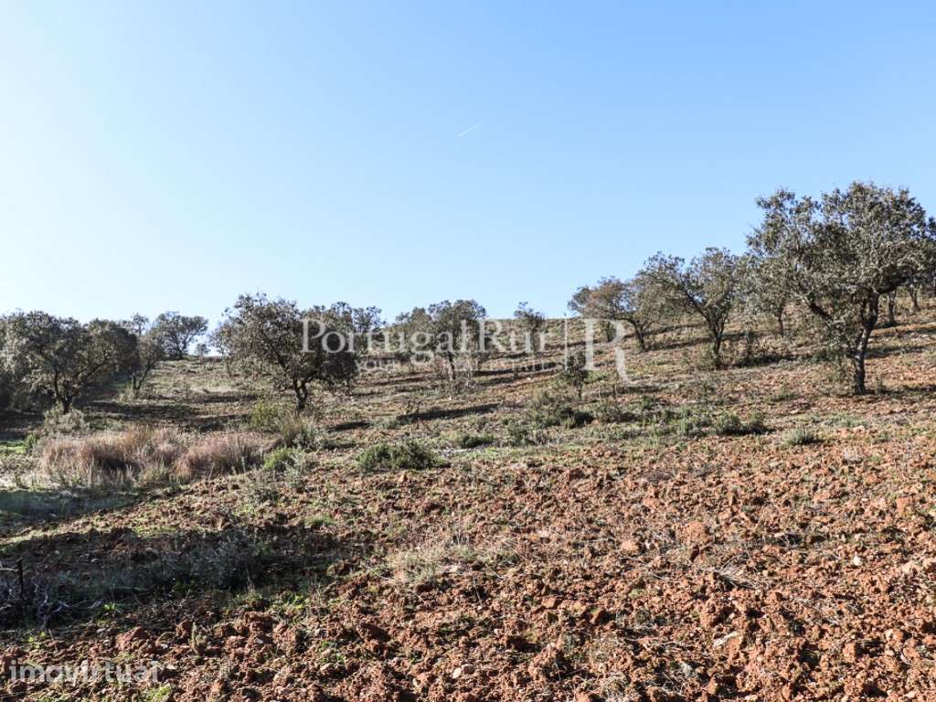 Propriedade de 8 hectares em Terena, Alandroal - Grande imagem: 3/9