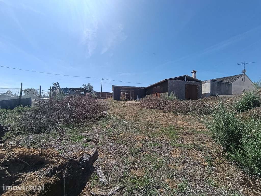 Terreno com moradia em ruinas - Grande imagem: 5/6