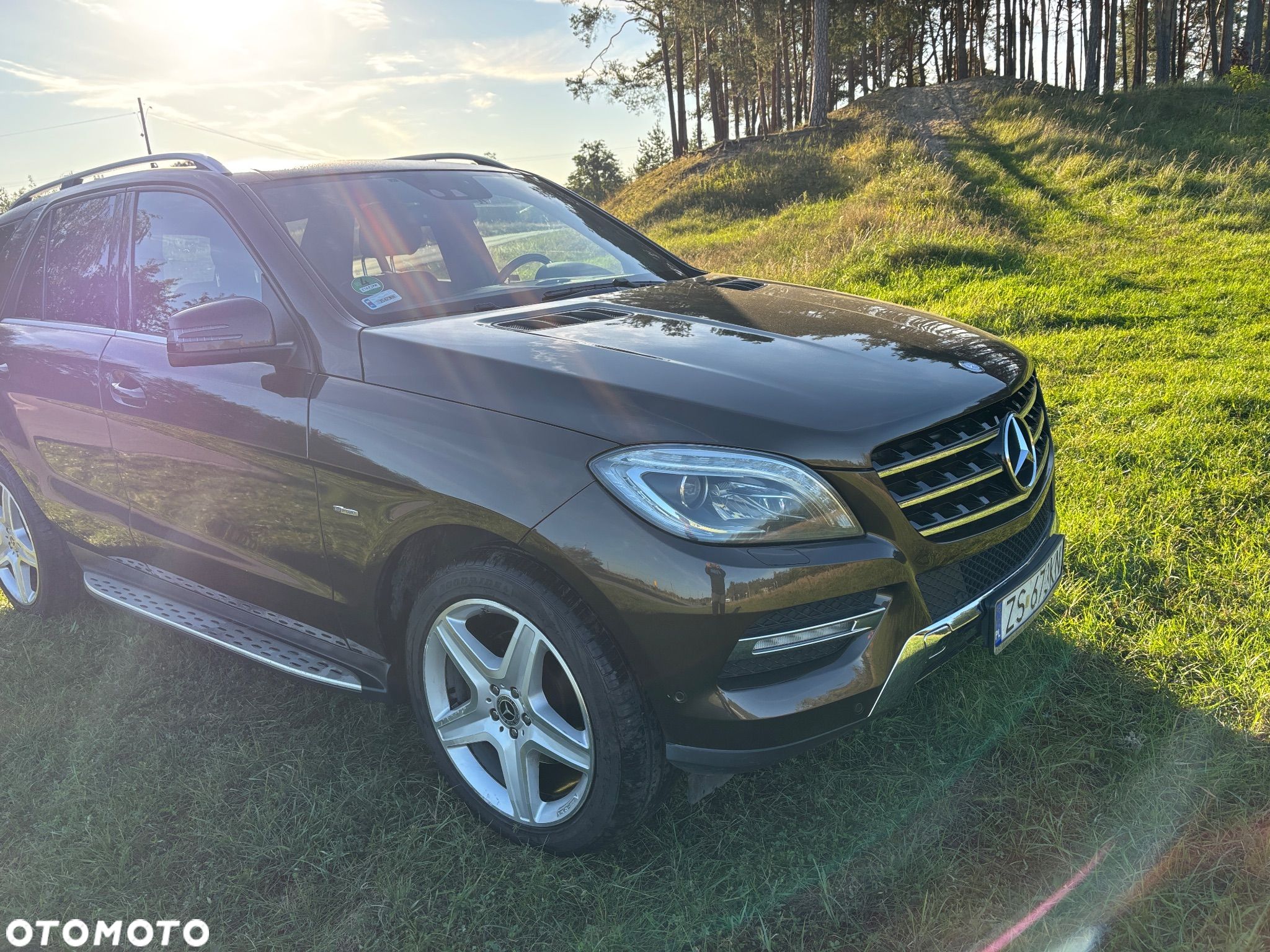 Mercedes-Benz ML 350 BlueTec 4-Matic - 1