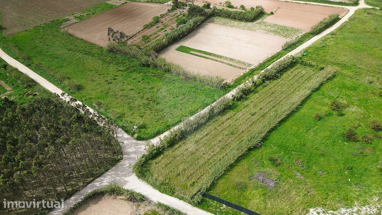 Terreno  para venda - Grande imagem: 4/6