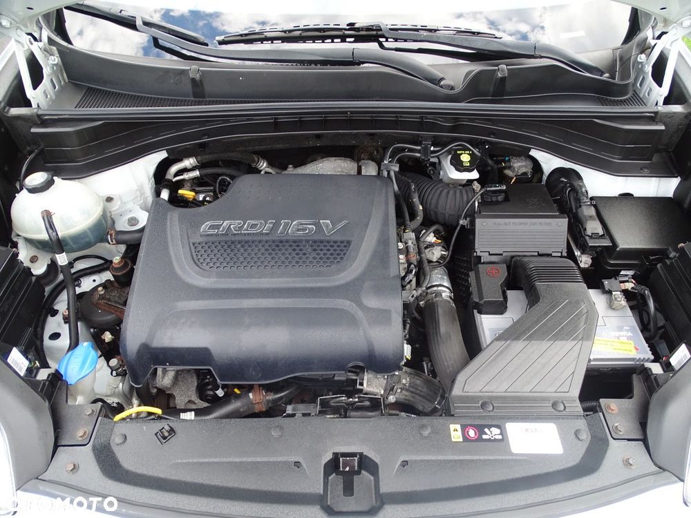 Kia Sportage - 40