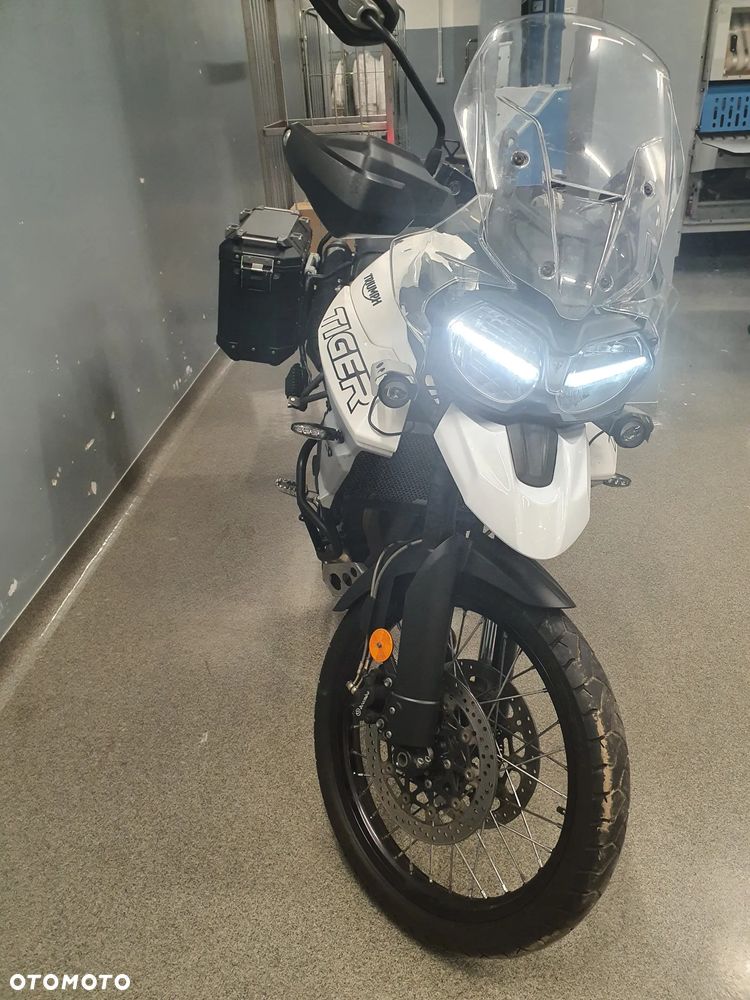 Triumph Tiger - 10