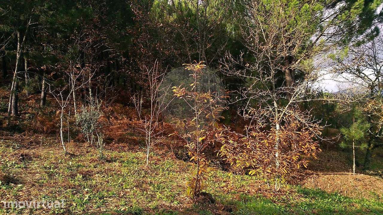 Terreno  para venda - Grande imagem: 3/3