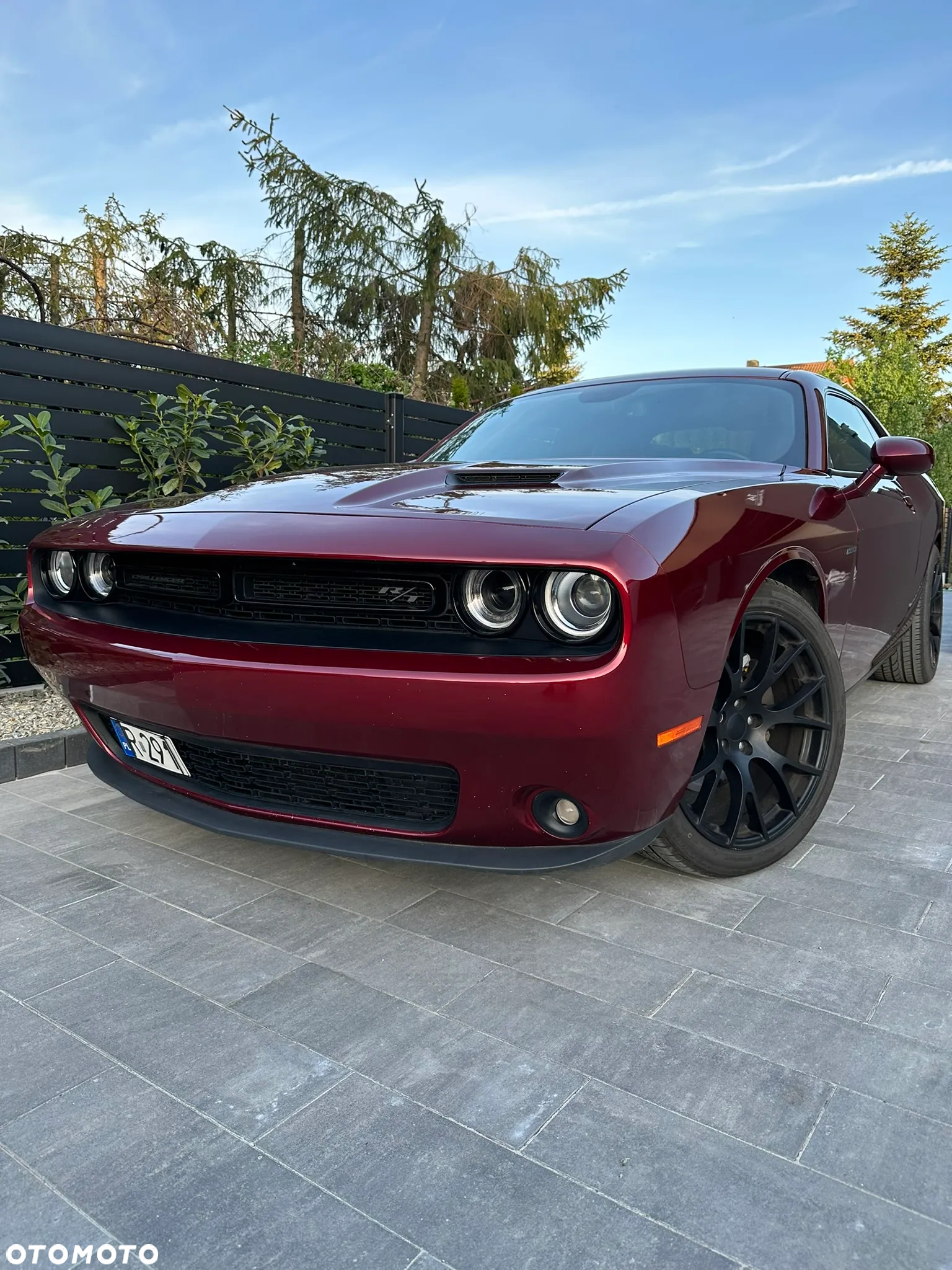 Dodge Challenger Automatik R/T Plus - 3
