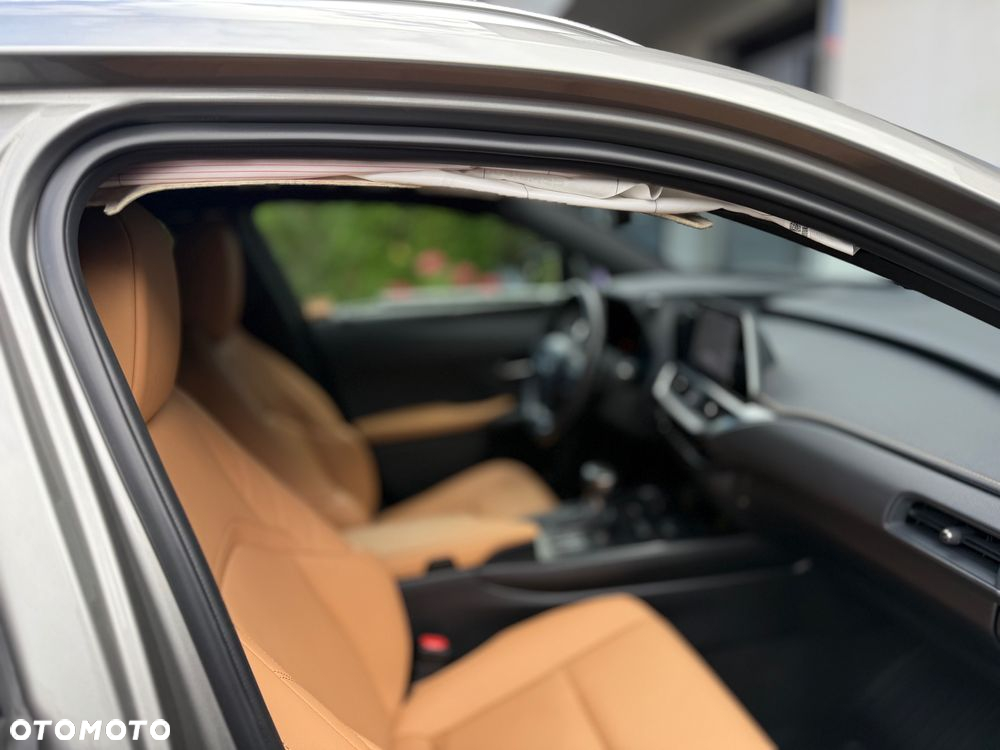 Lexus UX 250h GPF F Sport Design+ 2WD - 30