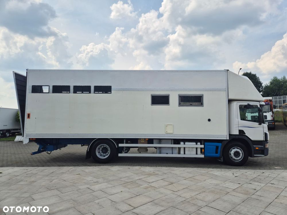 Scania P94LB 300 4X2 / KONIOWÓŻ / DO PRZEWOZU ZWIERZĄT / BYDŁO / KONIE / POMIESZCZENIE GOSPODARCZE / SERWISOWANY / 1WŁ / 5 MIEJSC / MANUAL / RAMPA - 6