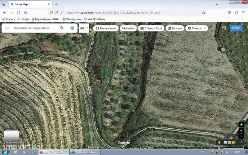 Terreno de cultivo Olival + Souto + zona de mato - Grande imagem: 4/4