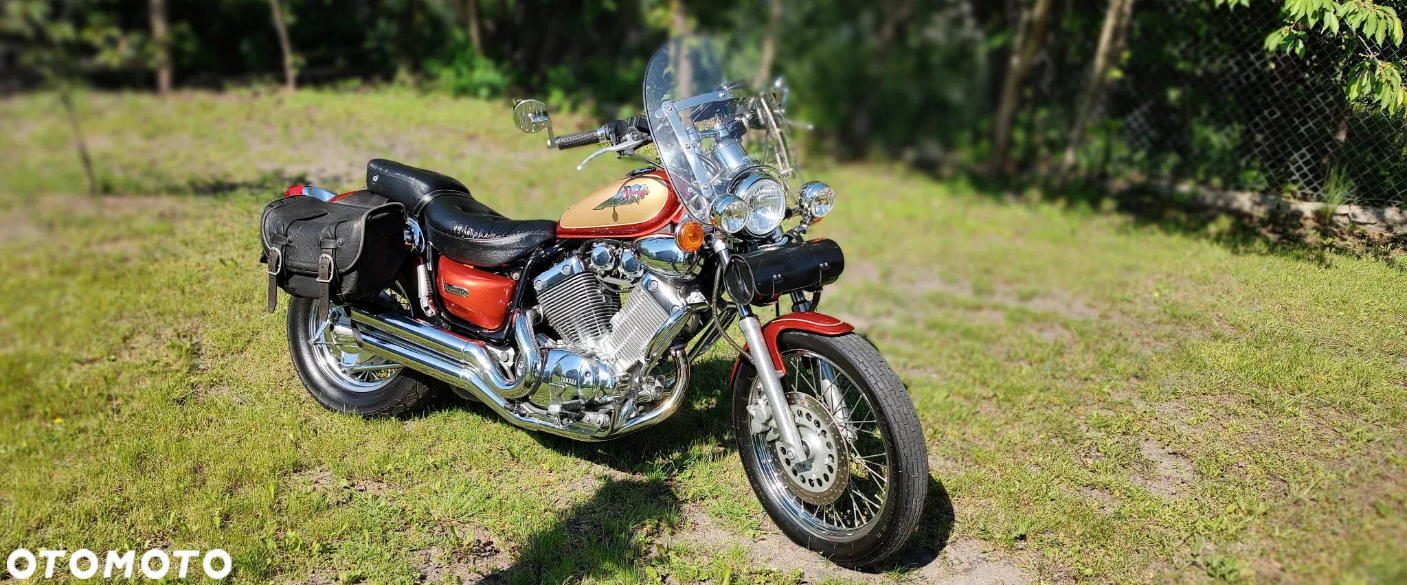 Yamaha Virago - 4