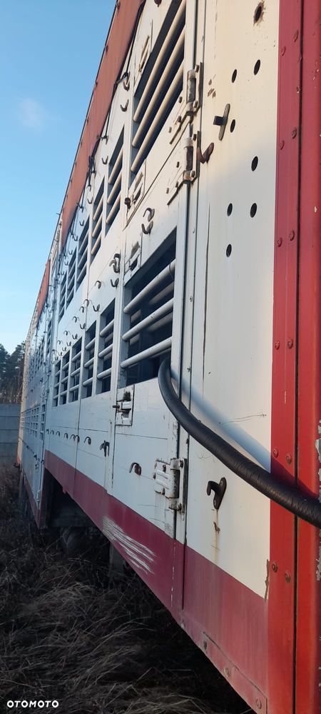 Zorzi 36s 136/19 LA - 20