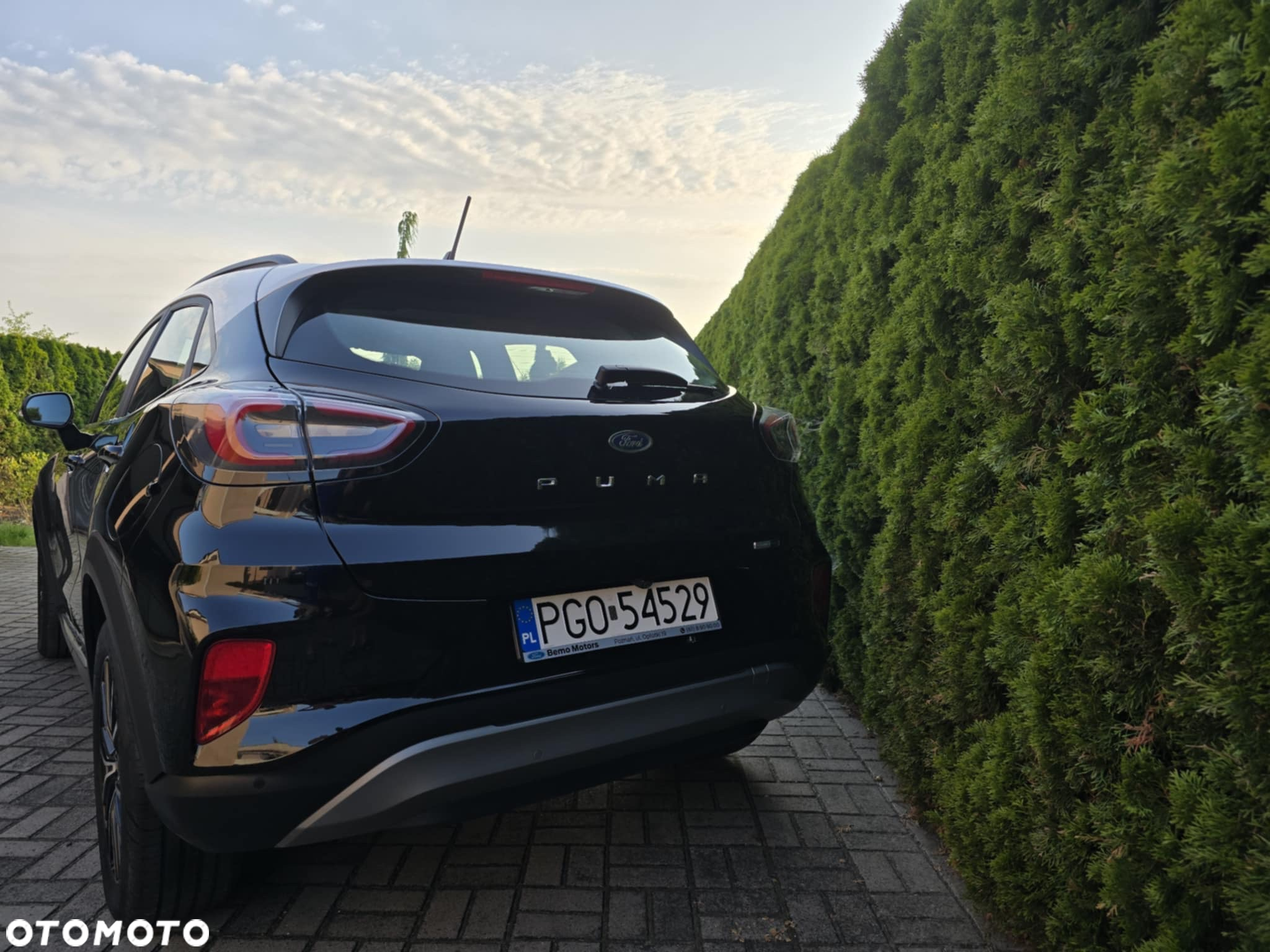 Ford Puma 1.0 EcoBoost Titanium - 4