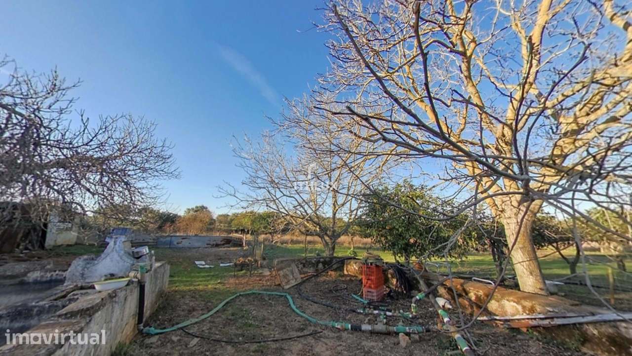 Quinta com 32.500 m2 em Elvas-Alentejo- Portugal - Grande imagem: 3/40