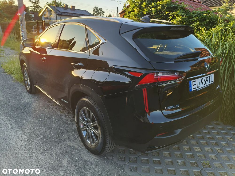 Lexus NX 300h Elite AWD - 33