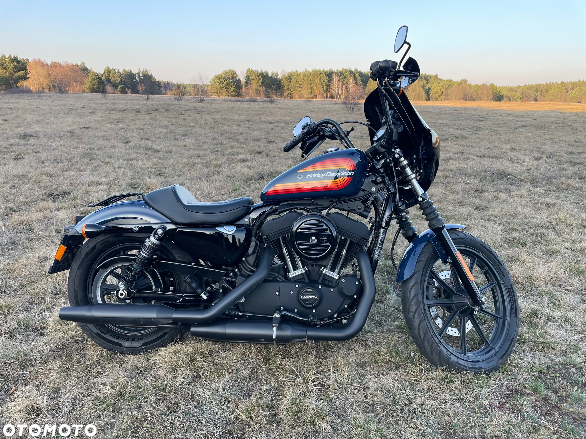 Harley-Davidson Sportster Iron 1200 - 9