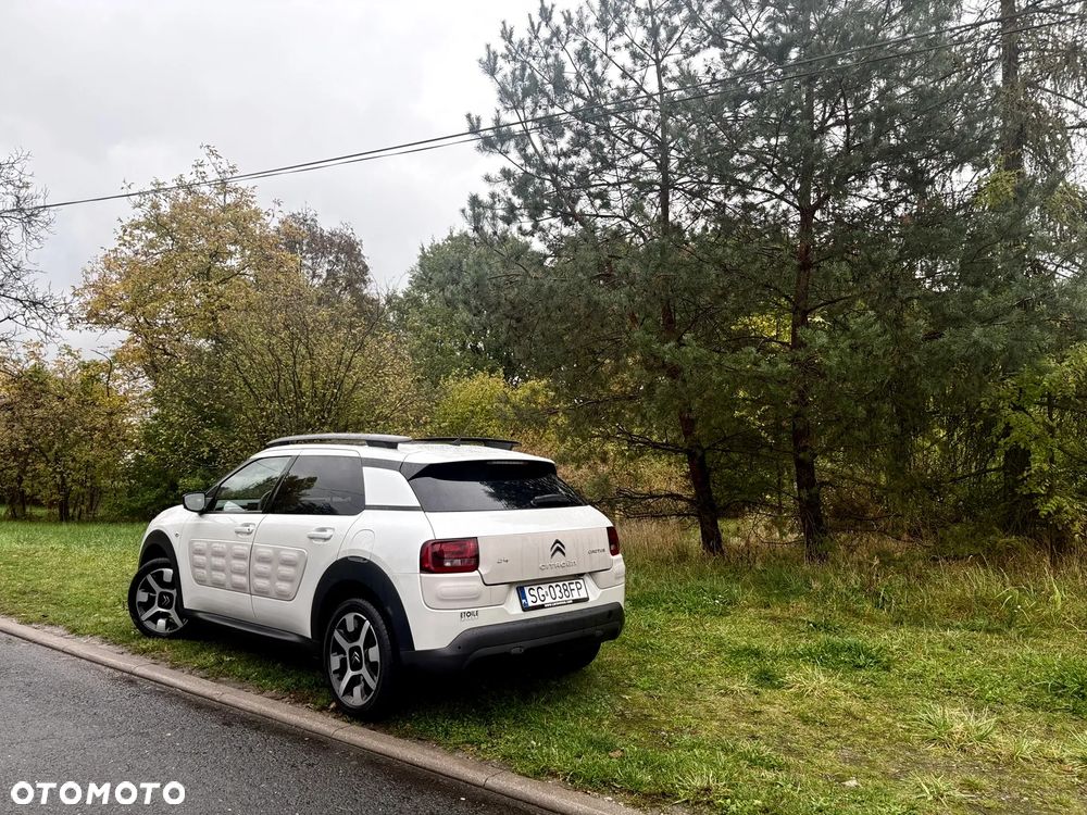 Citroën C4 Cactus PureTech 110 Stop&Start Shine - 19