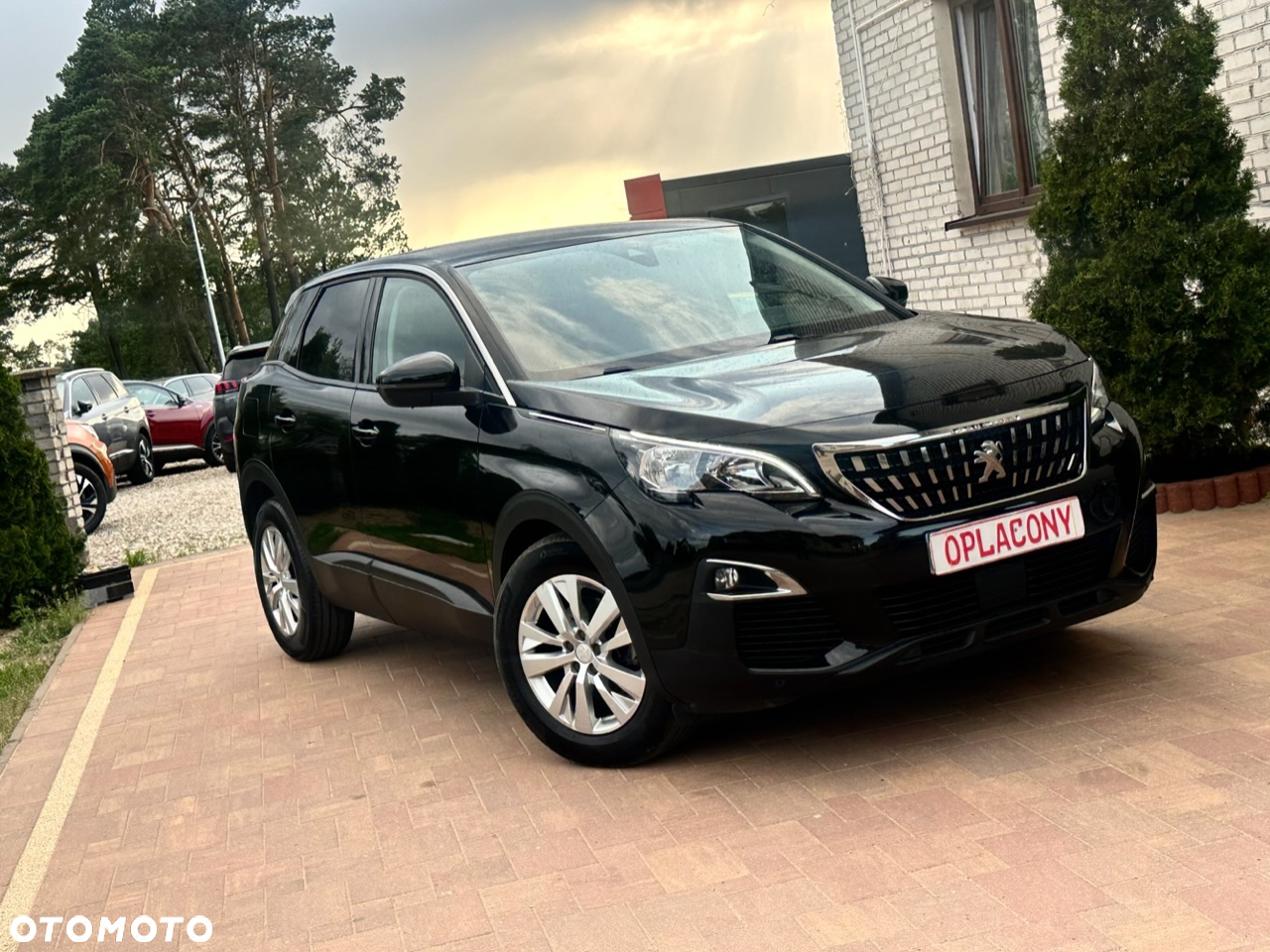 Peugeot 3008 - 6