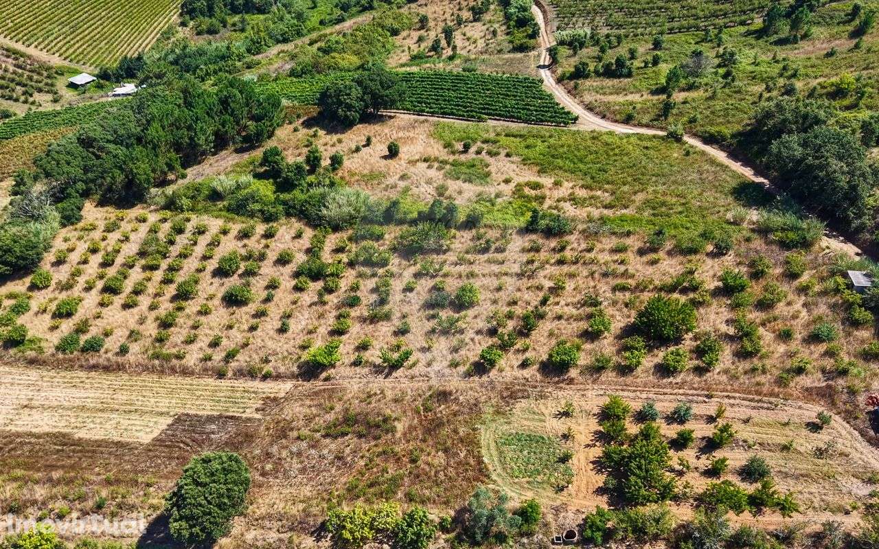 Terreno  para venda - Grande imagem: 5/40