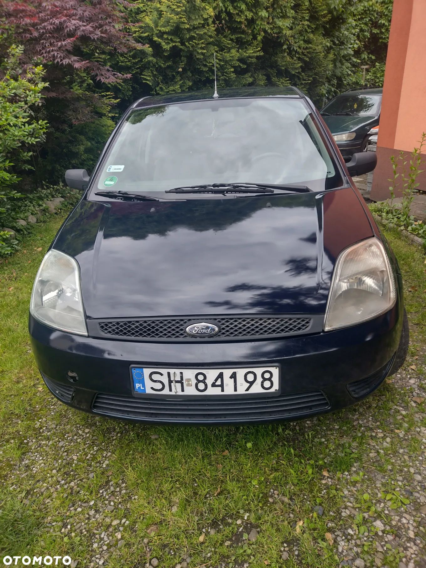 Ford Fiesta - 1