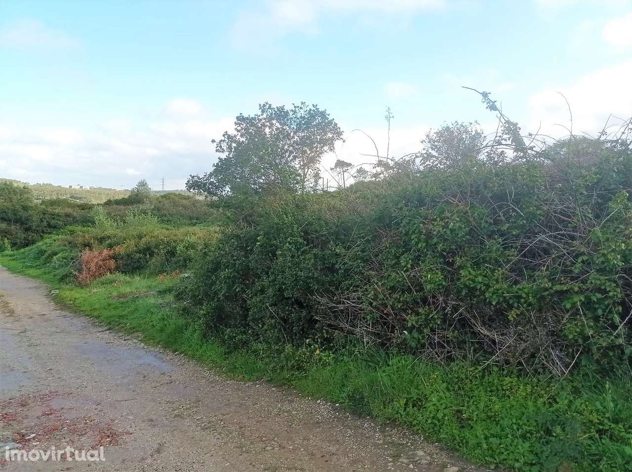 Terreno Rústico  Venda em Almargem do Bispo, Pêro Pinheiro e Montelava - Grande imagem: 3/13