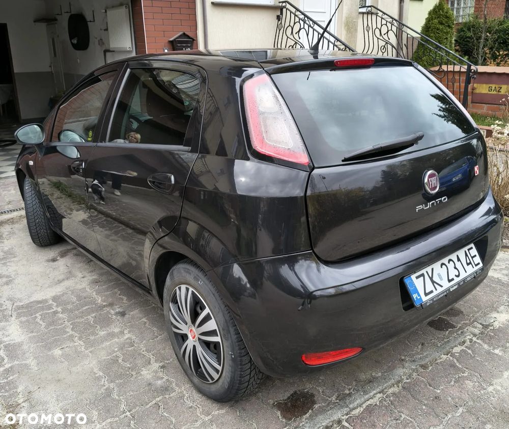 Fiat Punto 1.2 Young - 3