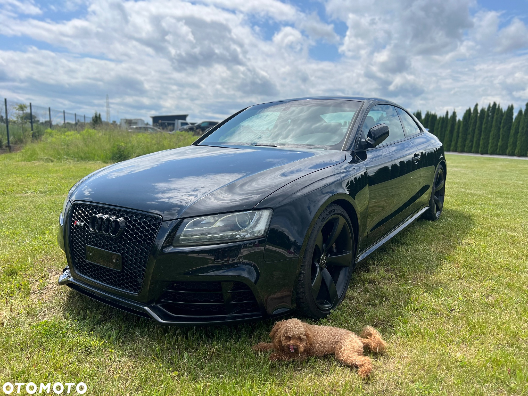 Audi RS5 S tronic - 19