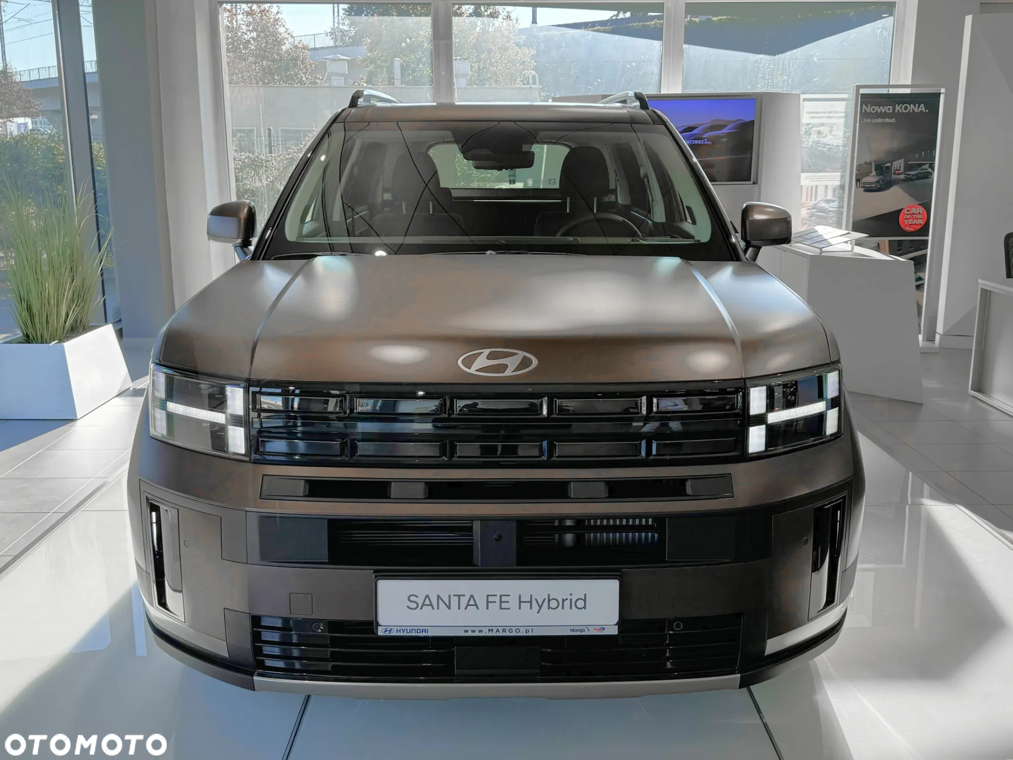 Hyundai Santa Fe - 9